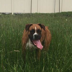 Meet your Posher, Kari